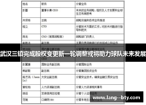 武汉三镇完成股权变更新一轮调整或将助力球队未来发展